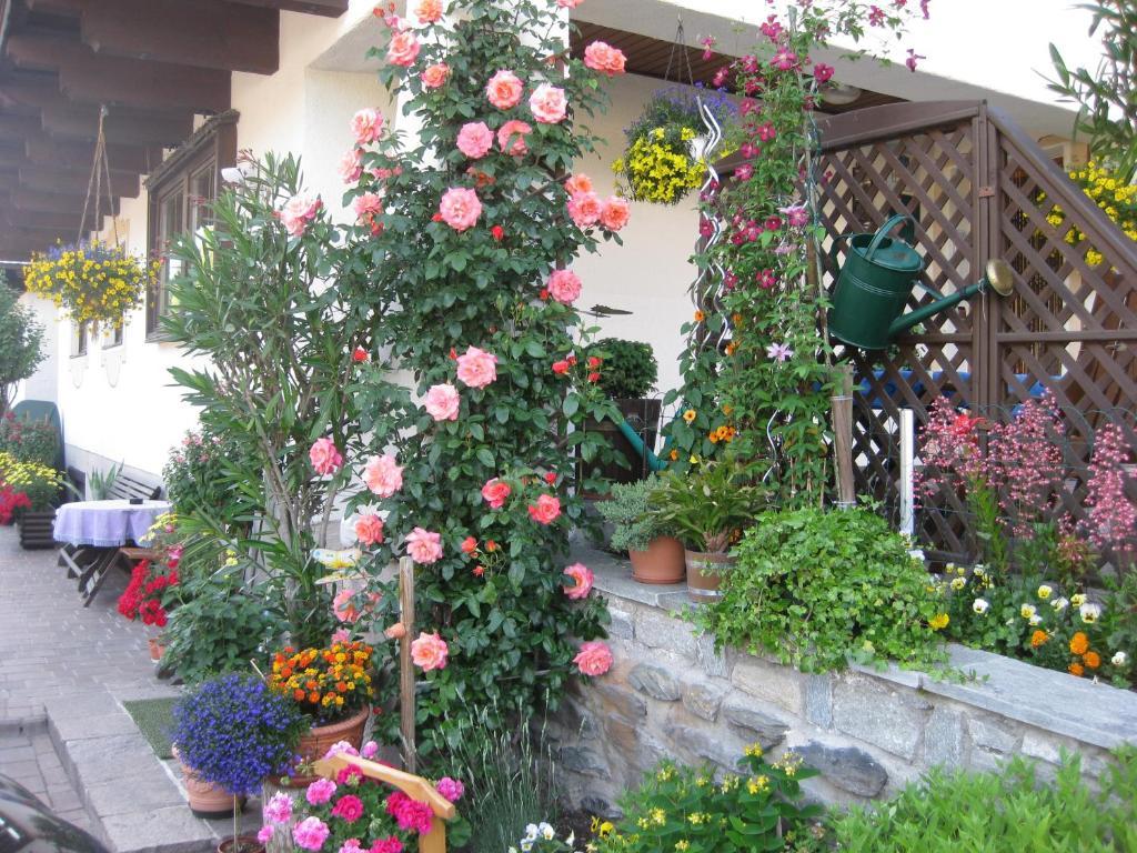 Schipflinger Bed & Breakfast Saalbach-Hinterglemm